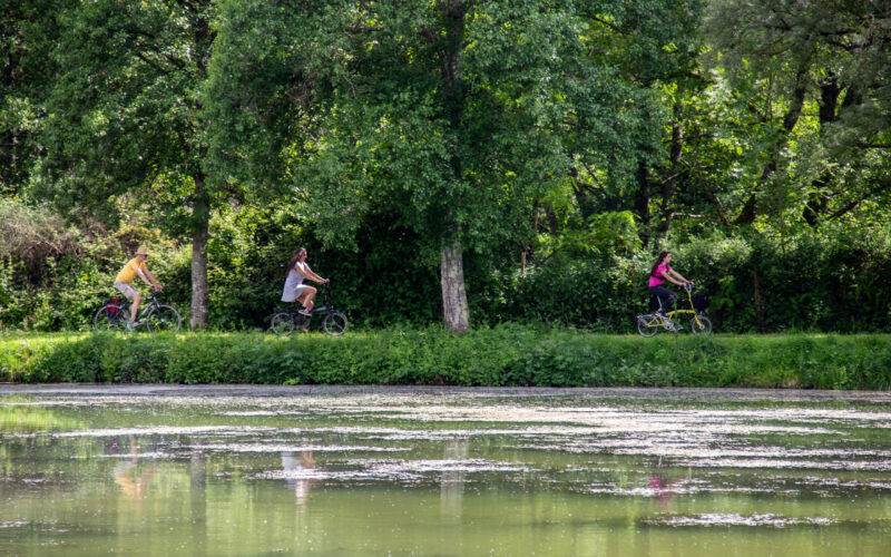 Velo-Bertranges-Xavier-Mathiaud-2783jpg##Entre Loire et foret##Xavier Mathiaud##