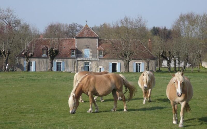 H58H028441-66aabec251c2bjpg##La maison vue de la prairie accueil de chevaux_4##Gîtes de France##